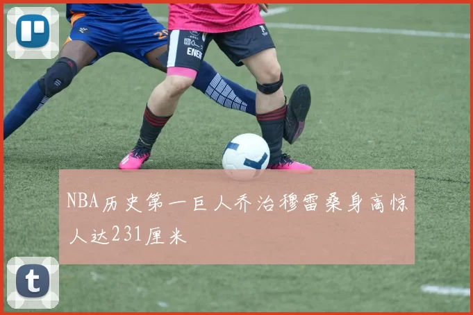 NBA历史第一巨人乔治穆雷桑身高惊人达231厘米