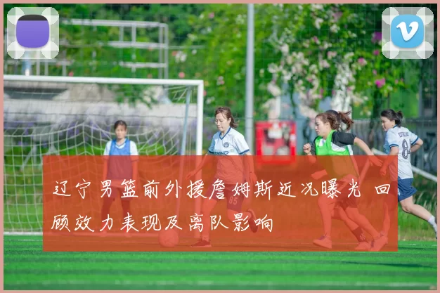 辽宁男篮前外援詹姆斯近况曝光 回顾效力表现及离队影响